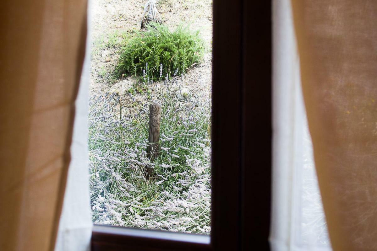 Agriturismo La Ca Veja Monforte dʼAlba Екстериор снимка