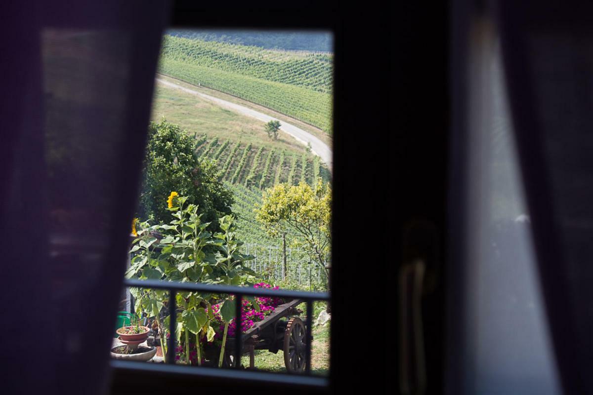 Agriturismo La Ca Veja Monforte dʼAlba Екстериор снимка